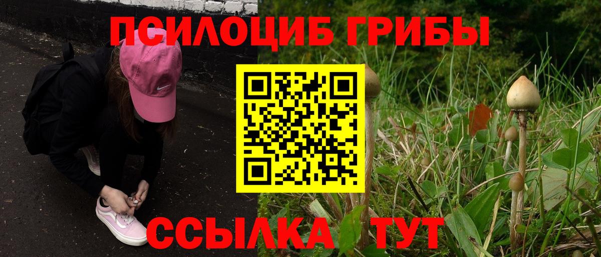 Конаково  Псилоцибиновые грибы Psilocybe  Вход с VPN 