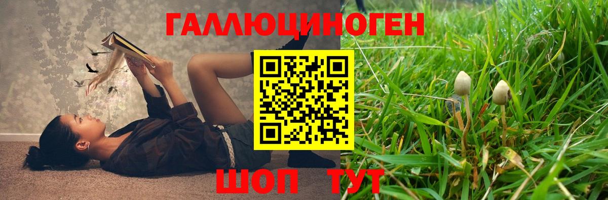 Псилоцибиновые грибы GOLDEN TEACHER Конаково